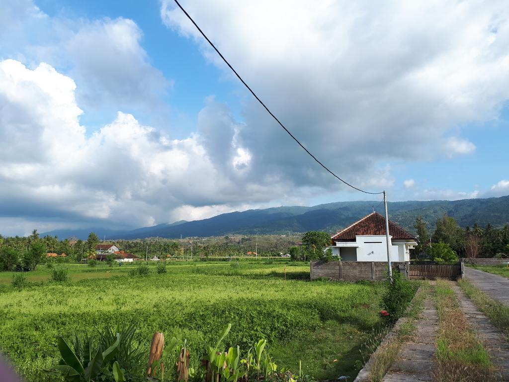 Gede Homestay Lovina  Exterior photo