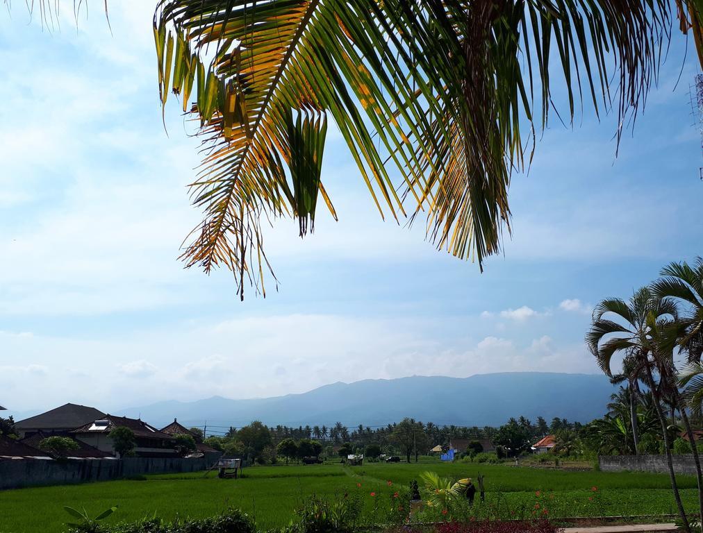 Gede Homestay Lovina  Exterior photo